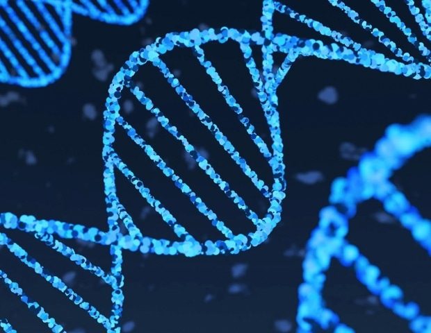 IDT and Aldevron Launch New Cas9 mRNA to Accelerate Gene Editing Development