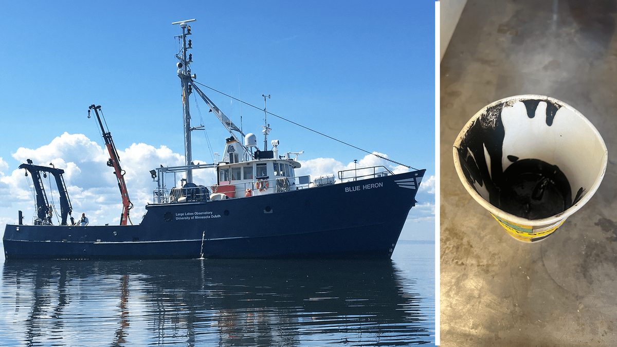 Discovery of New Microbial Life in Ship Rudder Goo Could Transform Understanding of Hidden Ecosystems