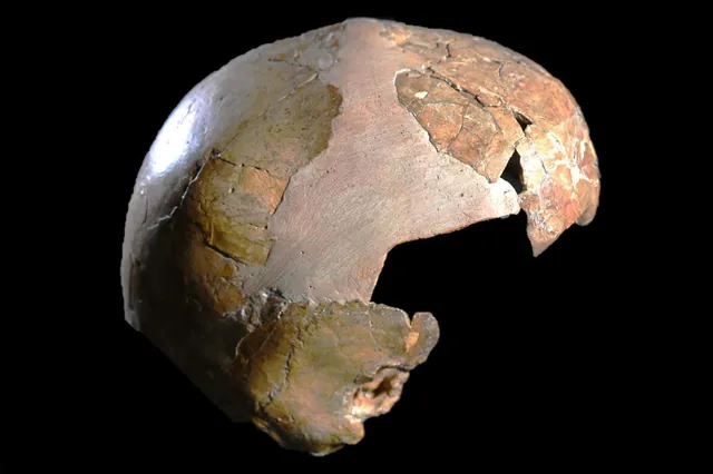 Ancient Hybrid Child Sheds Light on Early Human Interbreeding