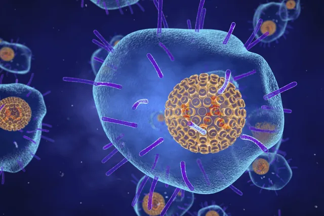 New Shingles Vaccine Linked to Significant Drop in Stroke and Heart Failure Risk