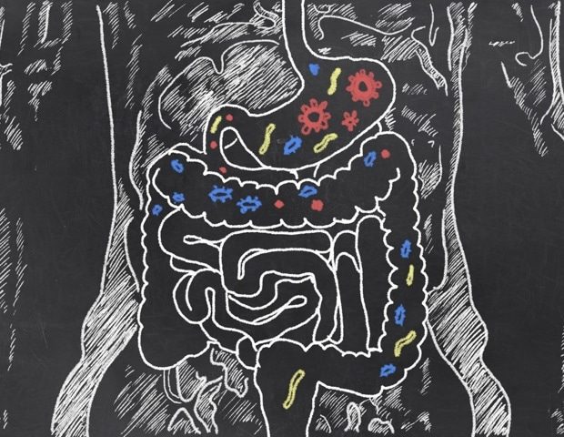 Ancient Gut Microbes Traveled with Humans Globally, Study Reveals