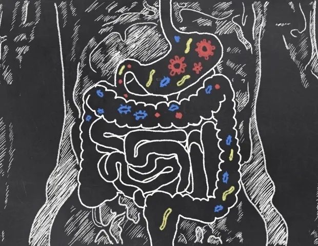 Ancient Gut Microbes Traveled with Humans Globally, Study Reveals