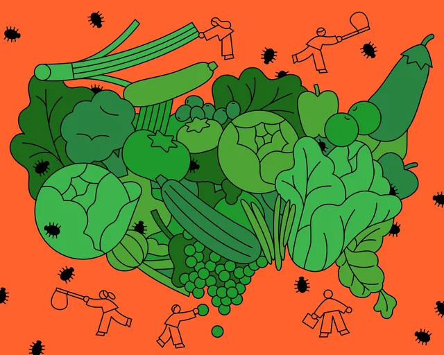Record Cyclosporiasis Outbreak Exposes Weakened Food Safety Net Amid Funding Cuts
