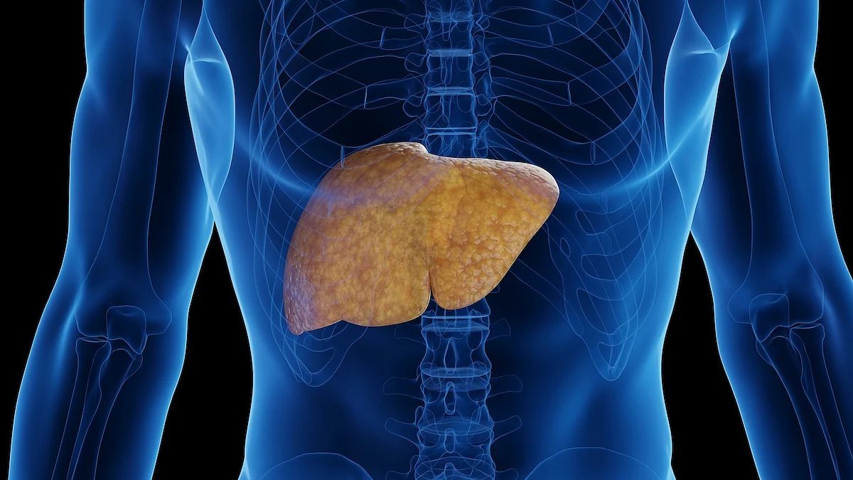 Late-Night Eating Linked to 36% Higher Risk of Fatty Liver Disease