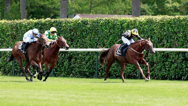 Green Sense and Tadej Set for Thrilling Duel in Prestigious Prix Robert Papin