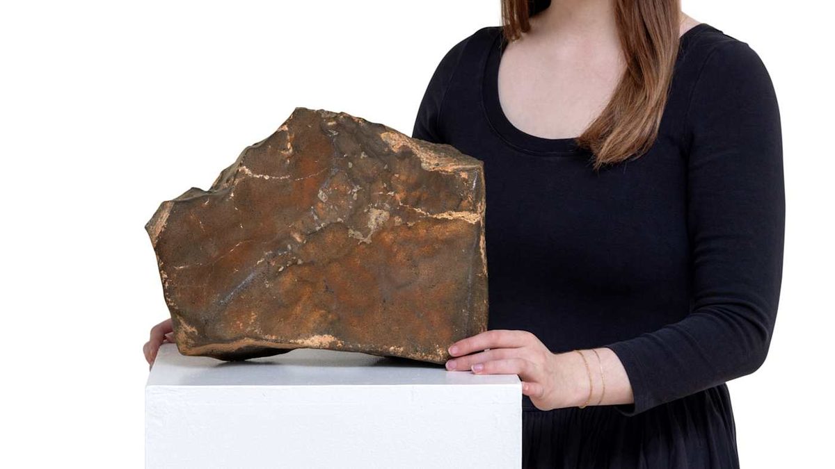 Martian Meteorite Sells for Record $5.3 Million, Representing 6.5% of Known Martian Material on Earth