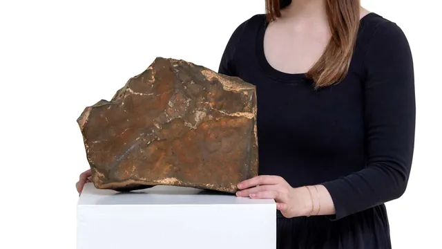 Martian Meteorite Sells for Record $5.3 Million, Representing 6.5% of Known Martian Material on Earth