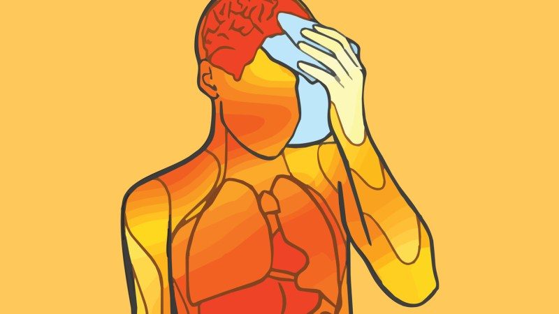 Heat Acclimation Breakthrough: Older Adults Show Significant Physiological Adaptation