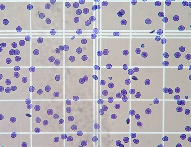 DeNovix Enhances CellDrop FLxi with Three Innovative Cell Counting Applications