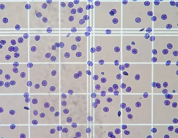 DeNovix Enhances CellDrop FLxi with Three Innovative Cell Counting Applications