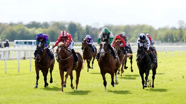 Pomme Pomme Looks to Reignite Winning Streak at Windsor Meet