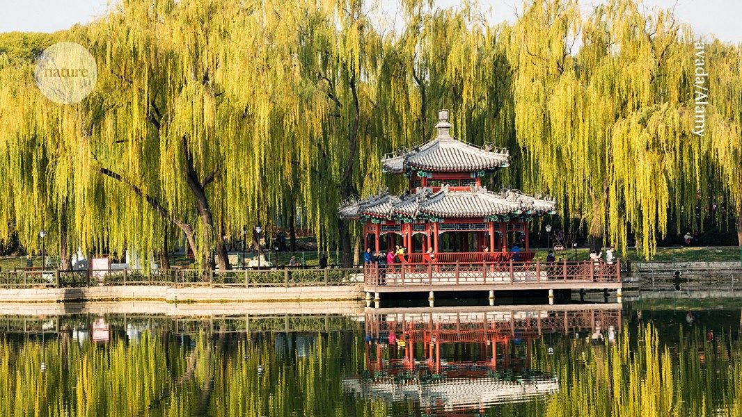 Urban Trees Exacerbate City Air Pollution by 52%, New Study Reveals