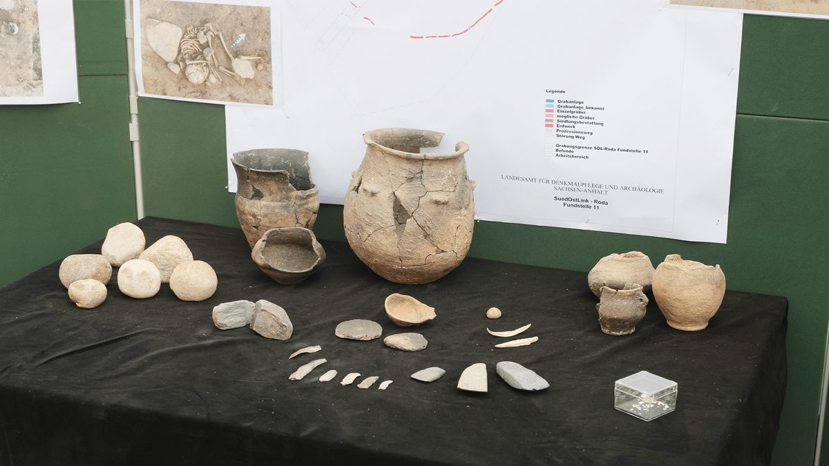 Neolithic Baby Carriers Adorned with 350 Dog Teeth Reveal Elite Maternal Roles