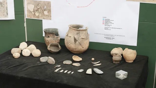 Neolithic Baby Carriers Adorned with 350 Dog Teeth Reveal Elite Maternal Roles