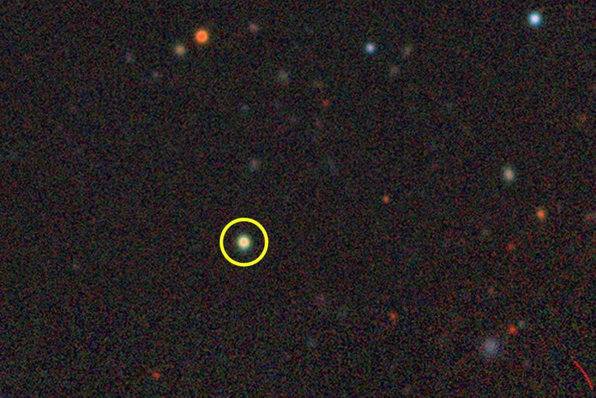 Discovery of Compact 'Little Red Dot' Galaxies in the Local Universe Sheds Light on Cosmic Evolution