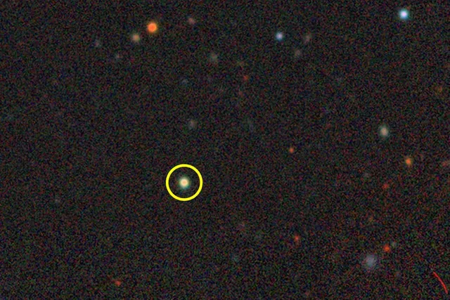 Discovery of Compact 'Little Red Dot' Galaxies in the Local Universe Sheds Light on Cosmic Evolution