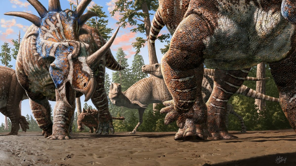 Dinosaur Footprints Reveal 76-Million-Year-Old Multi-Species Herding Behavior
