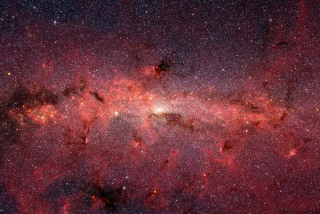 Galactic Mysteries Unveiled: Immortal Stars and Their Dark Matter Diet