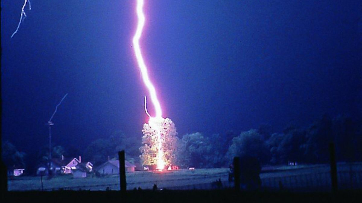 320 Million Trees Killed Annually by Lightning: Hidden Climate Threat Revealed