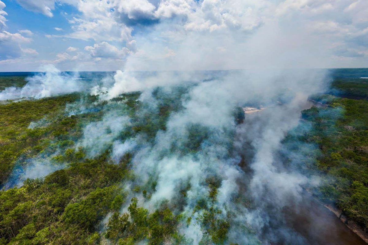 Forests at Risk: The Vulnerability of Carbon-Offset Projects to Wildfires