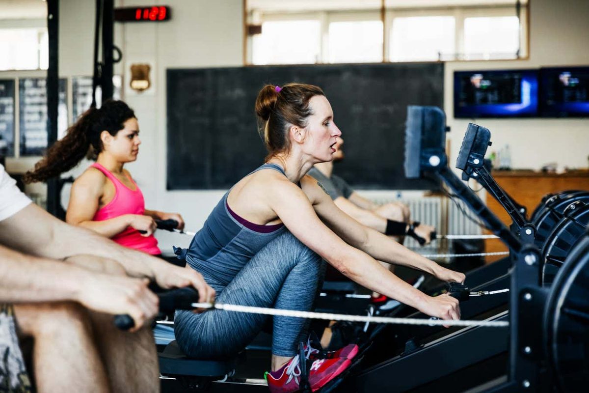 How Exercise Influences Cancer Prevention: Unraveling the Role of the Gut Microbiome