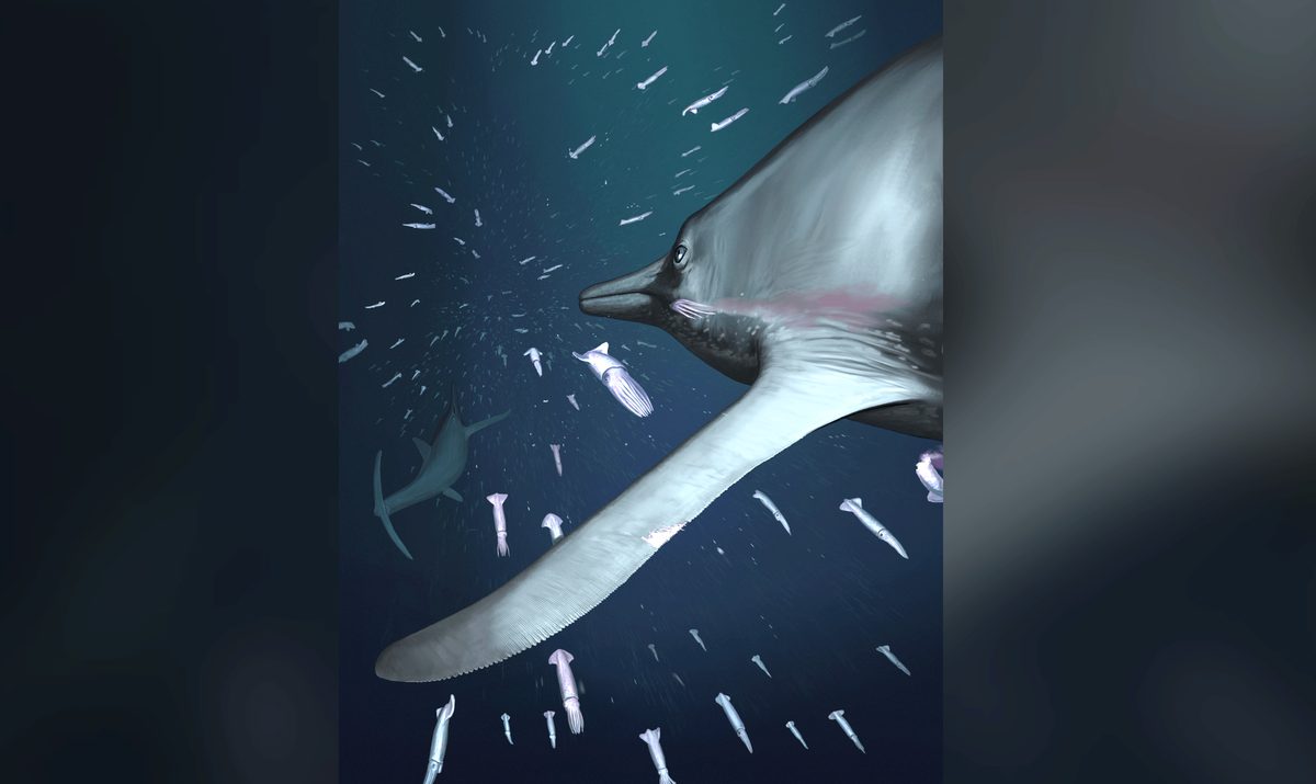Jurassic Ichthyosaurs Possibly Reduced Swim Noise by up to 10 Decibels, Revealing Silent Hunting Adaptations