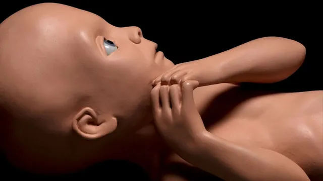 Kubrick's Iconic Props, Valued Up to $1 Million, Head to Bonhams Auction