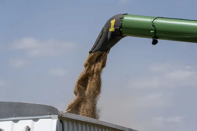 Bangladesh Secures Major Wheat Import Deal with US Amid Tariff Concerns