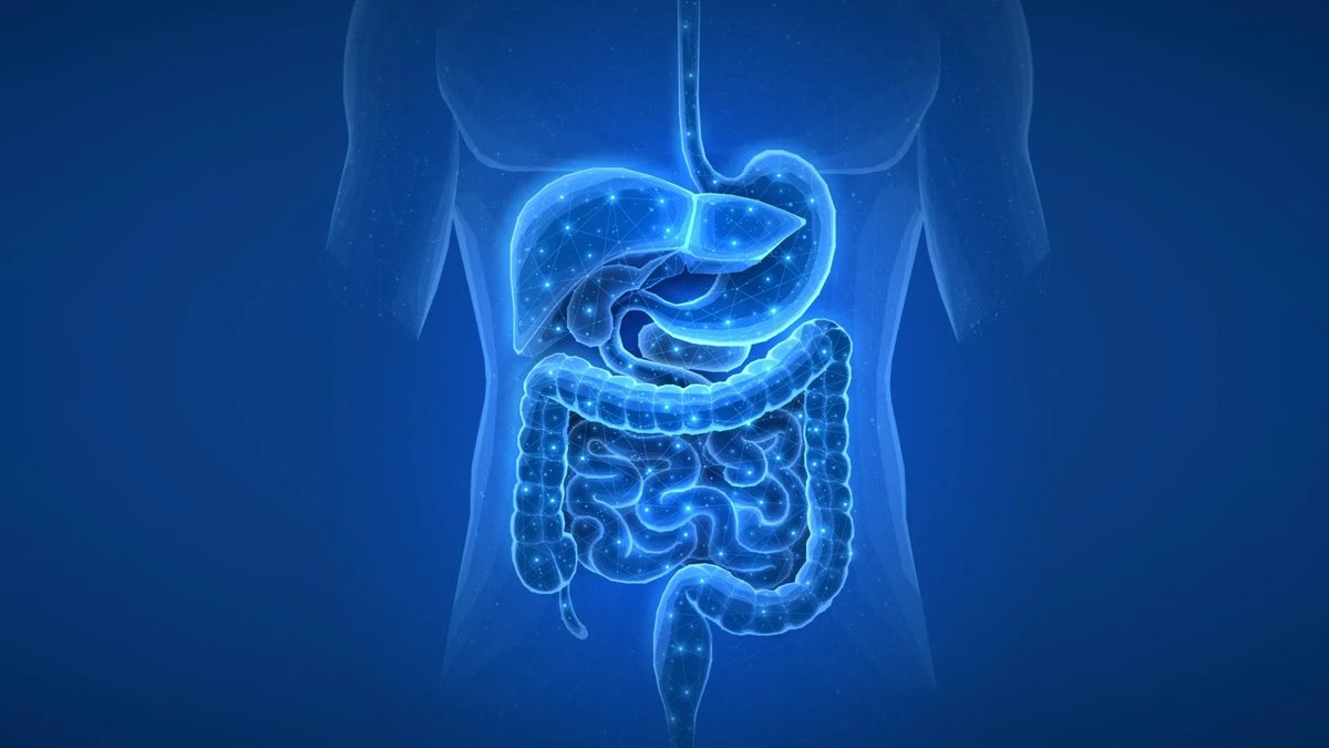Common Medications Alter Gut Microbiome for Years Post-Treatment, Study Reveals