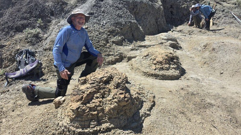 Adult T. rex Walked at a Brisk Human Pace, New Footprints Reveal