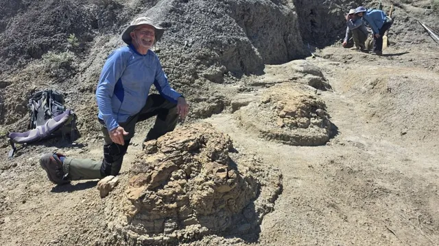 Adult T. rex Walked at a Brisk Human Pace, New Footprints Reveal