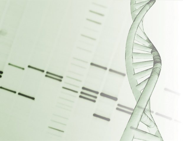 Ancient Viral DNA: Unveiling Its Crucial Role in Human Gene Regulation