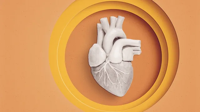 Innovative Heart Recovery Techniques Could Boost Pediatric Transplants by 20%