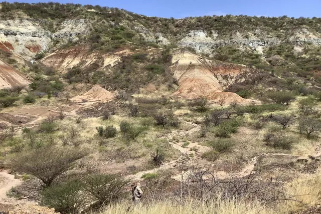 Ancient Proteins from 18-Million-Year-Old Teeth Shed Light on Mammalian Evolution