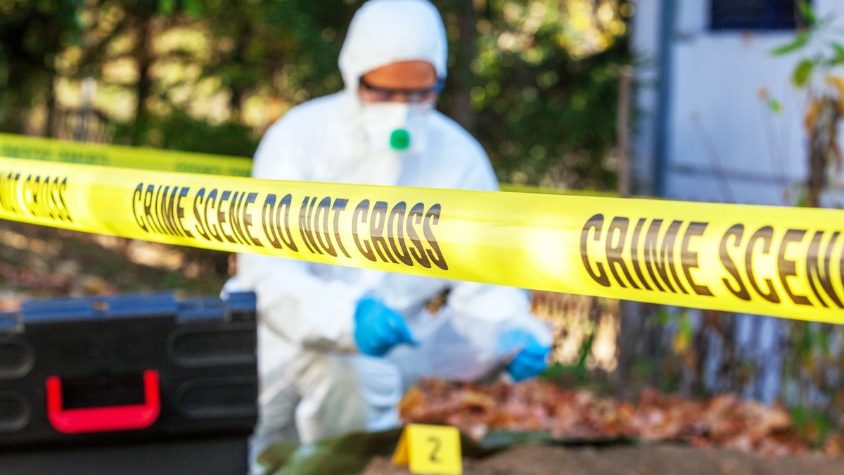 New Study Reveals How Bloodstain Patterns on Cotton Fabrics Indicate Impact Velocity