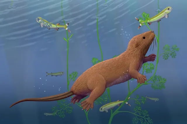 Ancient Mammal Fossil Reveals Reptilian Teeth, Challenging Evolutionary Dogma