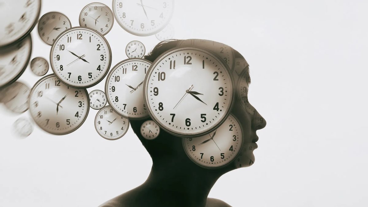 Brain Protein Restoration Reverses Key Aging Signs in Mice, Offers New Avenues for Longevity Research