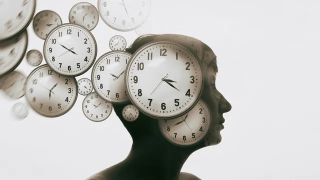 Brain Protein Restoration Reverses Key Aging Signs in Mice, Offers New Avenues for Longevity Research
