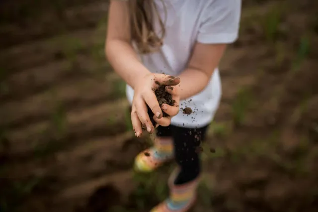 Exploring the Potential of Mycobacterium vaccae: Can a Soil Microbe Boost Mental Health?