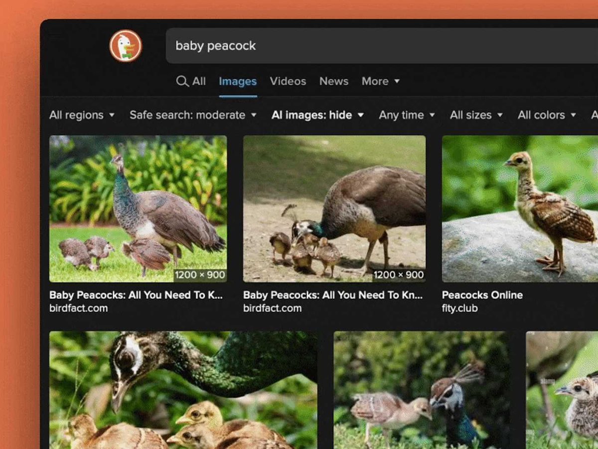 DuckDuckGo представил фильтр, уменьшающий количество изображений, созданных ИИ, в результатах поиска