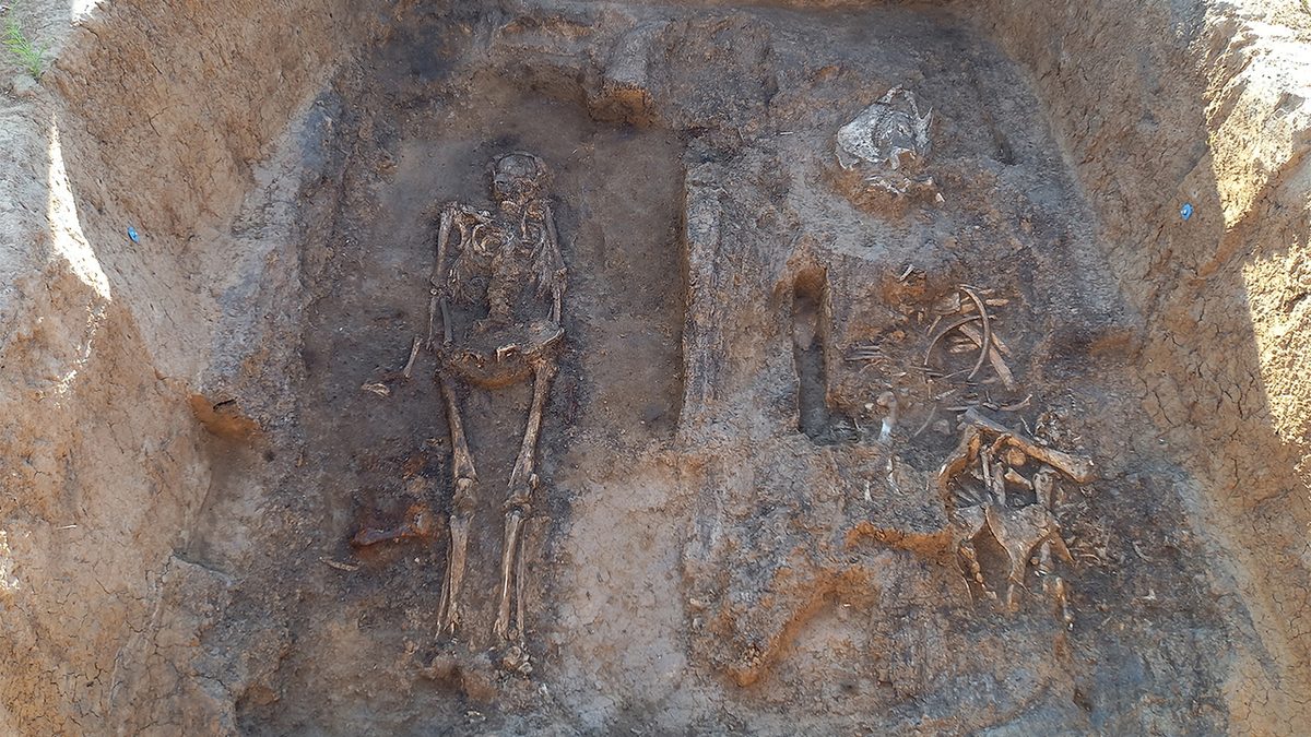 Rare 10th Century Wooden Tomb Reveals Norse-Slavic Elite Connections in Russia