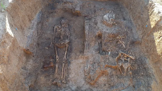 Rare 10th Century Wooden Tomb Reveals Norse-Slavic Elite Connections in Russia